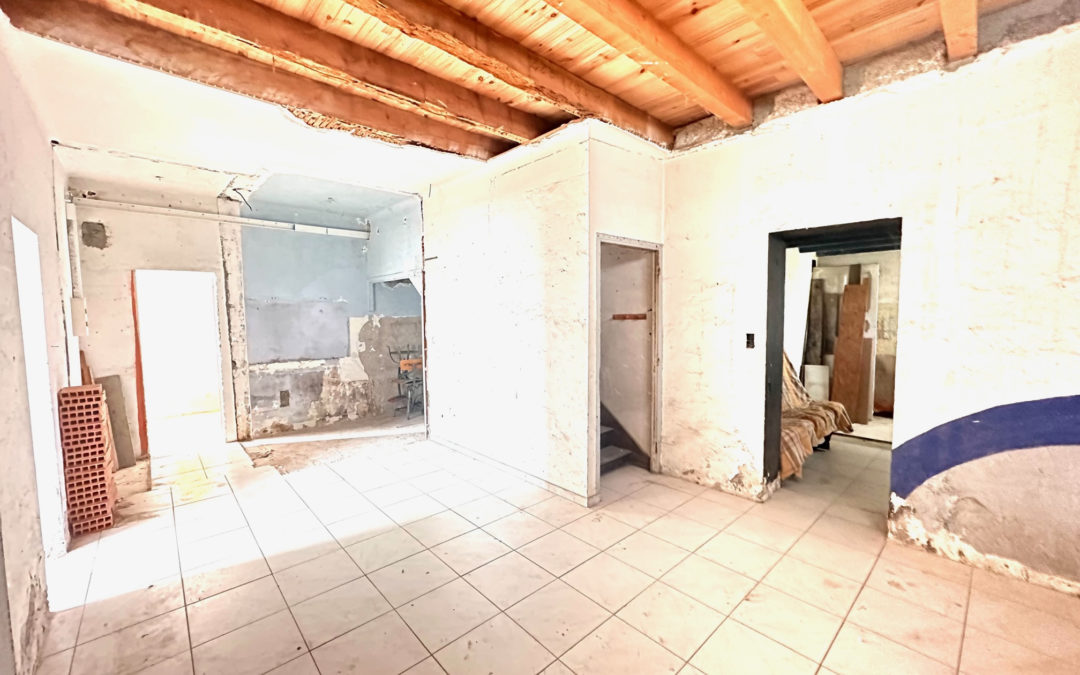 Appartement Duplex , plateau, avec grand terrain agricole