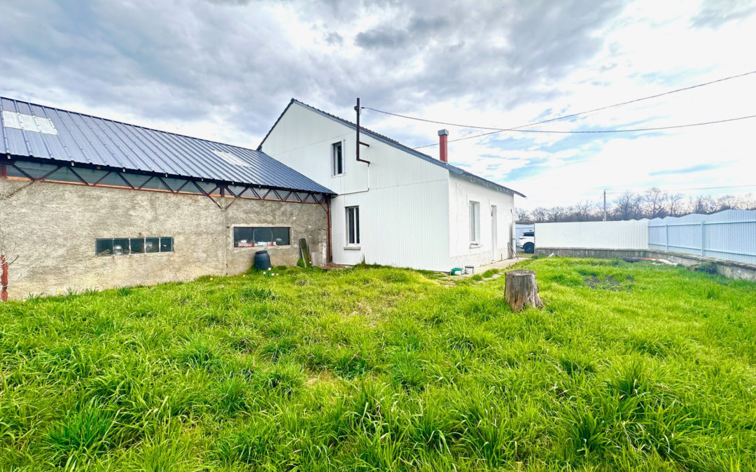 Vente appartement plateau , Duplex , avec terrain et Hangar